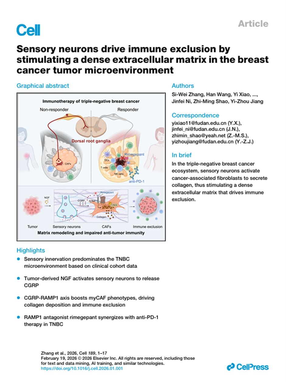 [China  Tech] Unexpected Drug Offers New Hope Against Aggressive Breast Cancer
