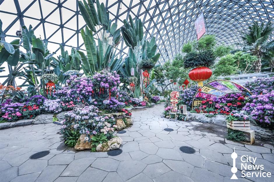 New Year Festivities: Blooming Flowers, Light Shows and Celebrations