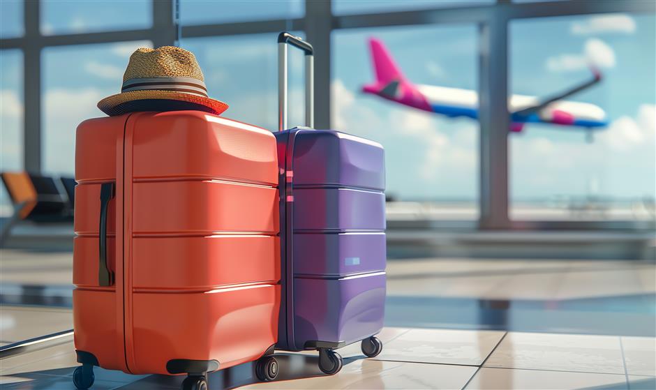 Citywide Luggage Delivery System Proposed