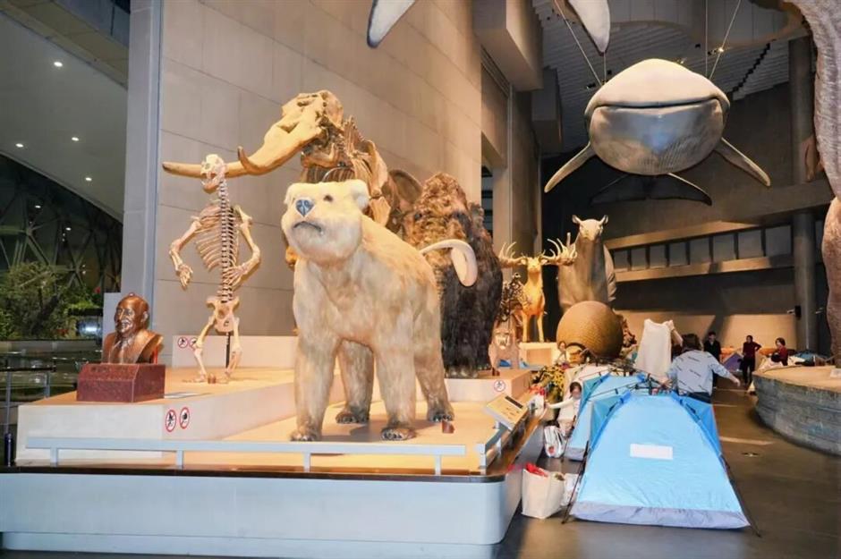 寒假去哪儿?8大宝藏博物馆,竟藏着这么多新奇体验→