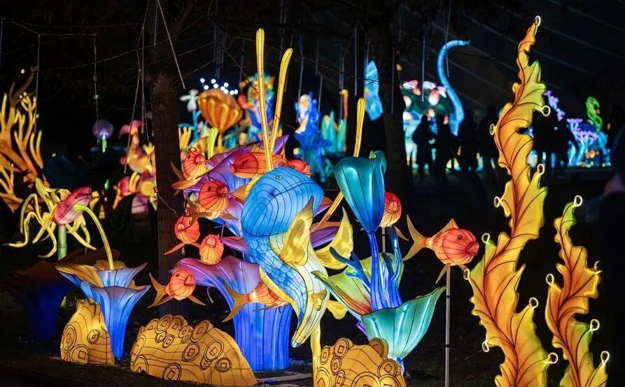 [Hai Streets] The 30-Year Evolution of Yuyuan's Lantern Festival