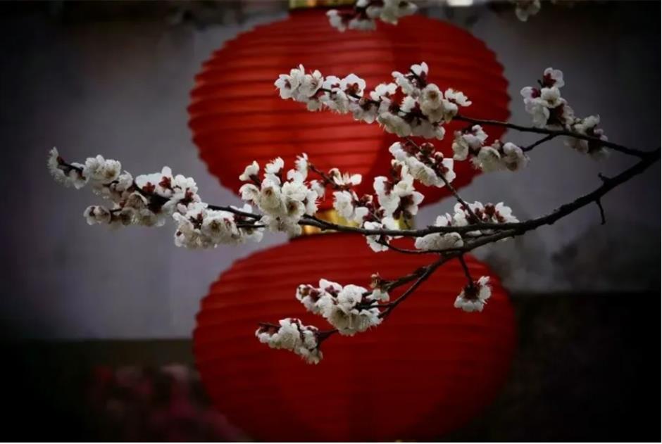 新春游园赏花会、巨型鲸鱼装置、刘若英演唱会......一周文旅生活