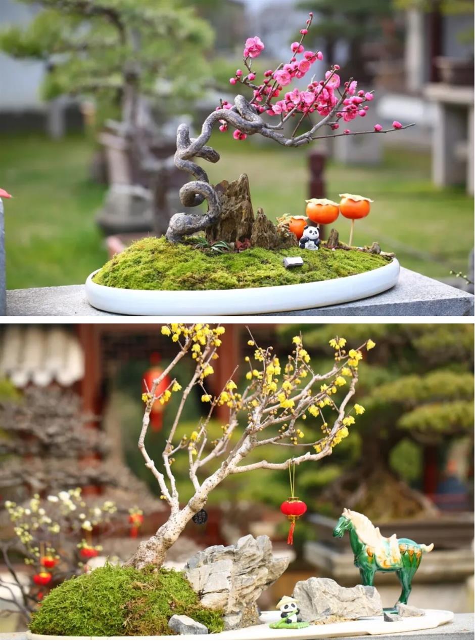 新春游园赏花会、巨型鲸鱼装置、刘若英演唱会......一周文旅生活