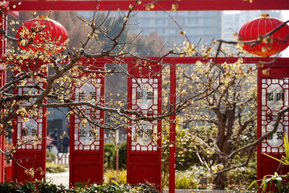 上海早春的花都开好了!