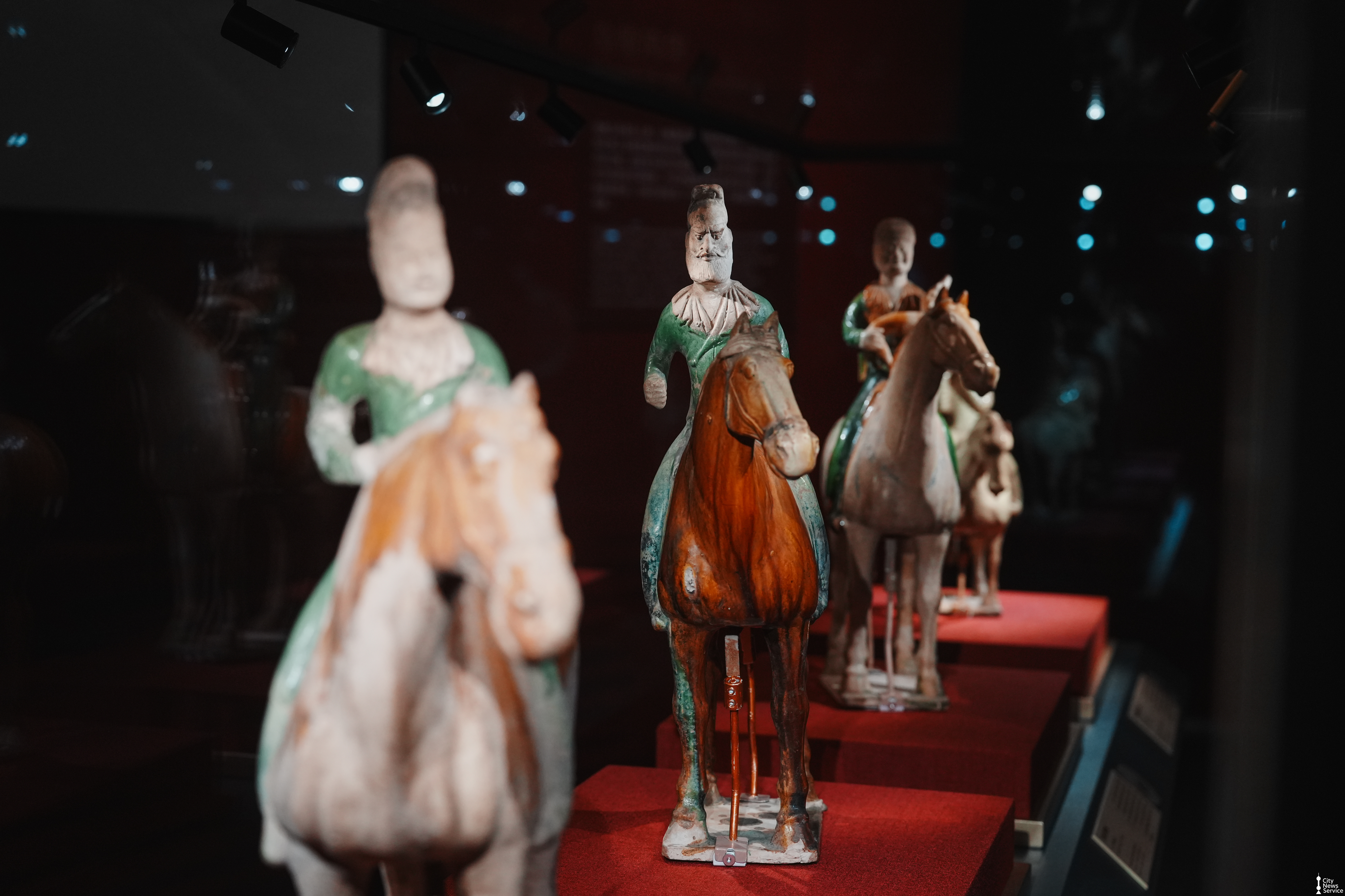 Shanghai Science and Technology Museum Reopens with Horse Exhibition