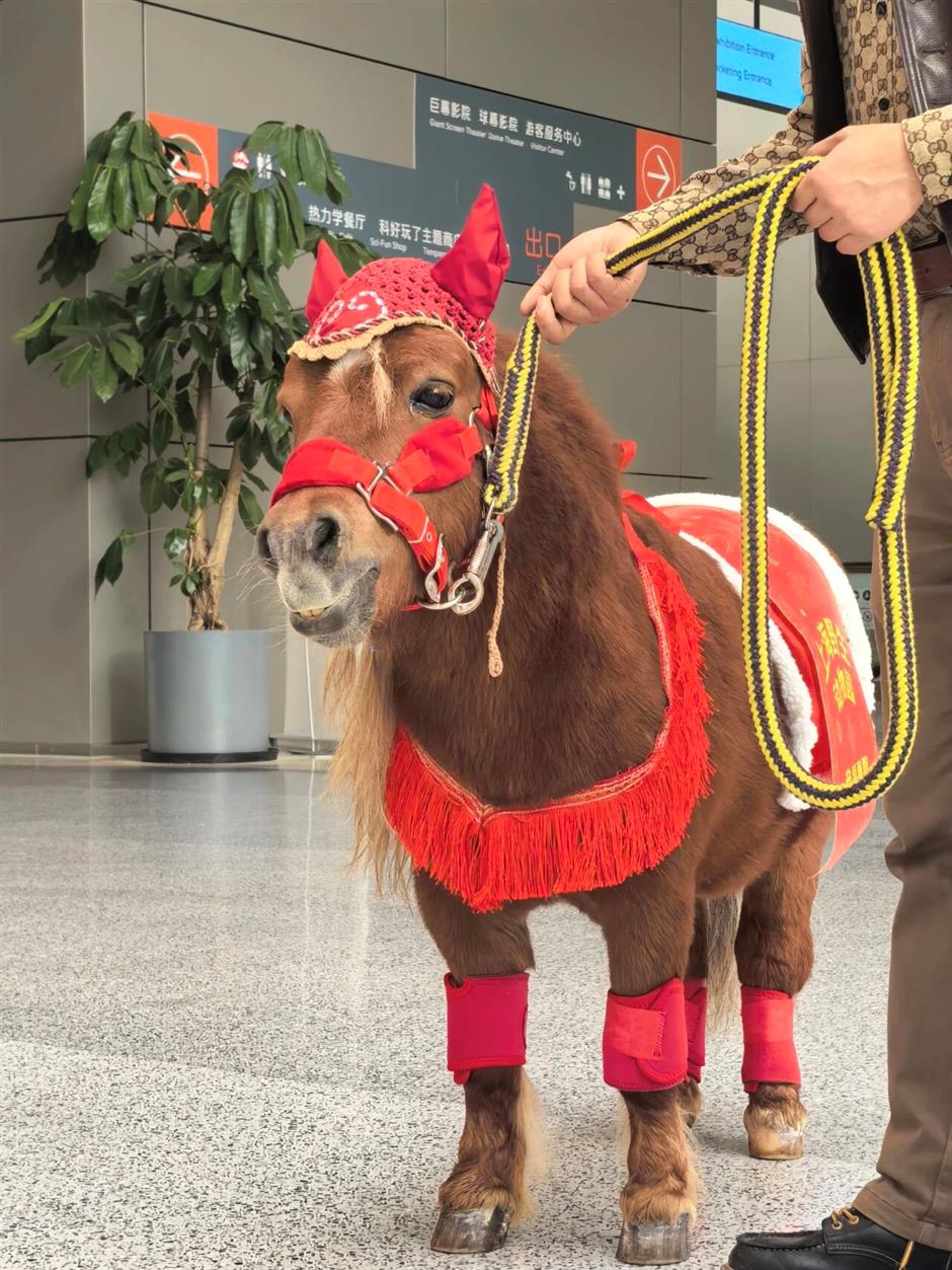 马年首展!上海科技馆大年初一试开放