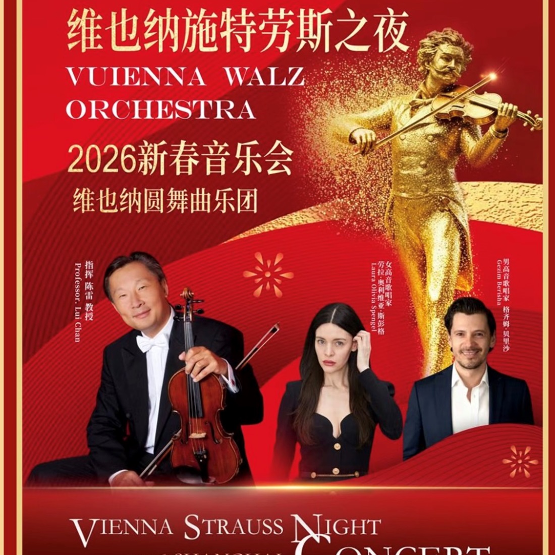 Vienna Strauss Night Concert Ready to Strike a Chord
