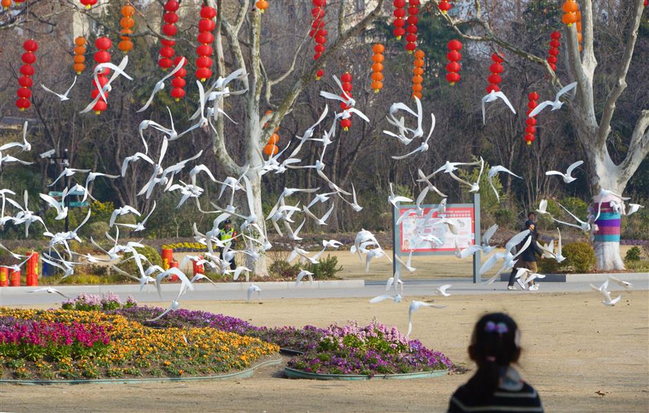 Spring Festival Weather to Swing From Warm to Blustery Cold Snap