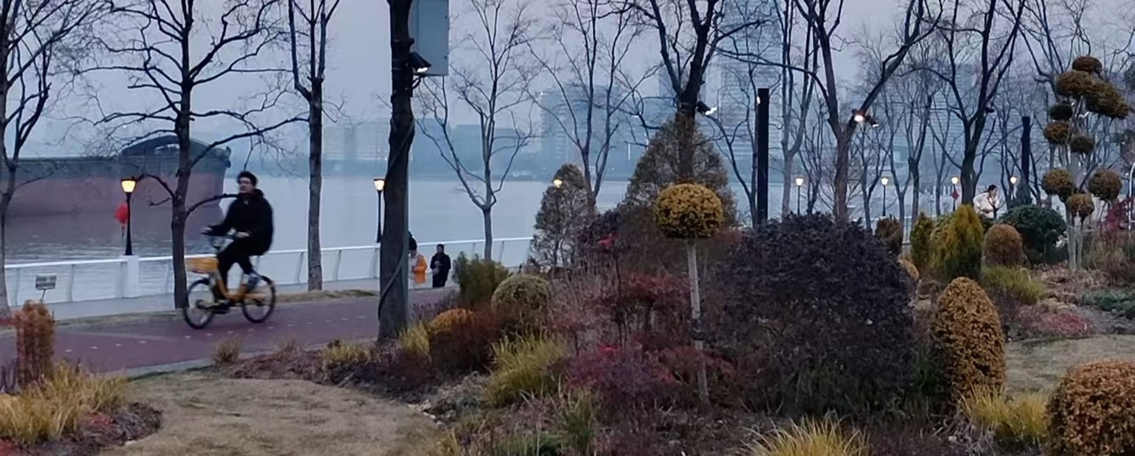 With Shanghai's Ever-Expanding Green Space, a City in Nature Takes Shape