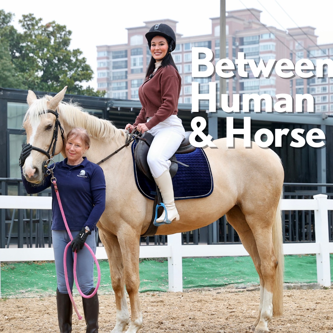 Inside the Stable: Between Human and Horse