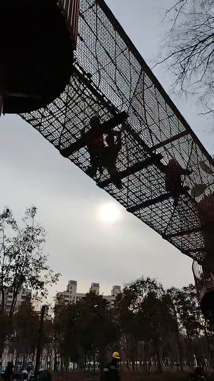 With Shanghai's Ever-Expanding Green Space, a City in Nature Takes Shape