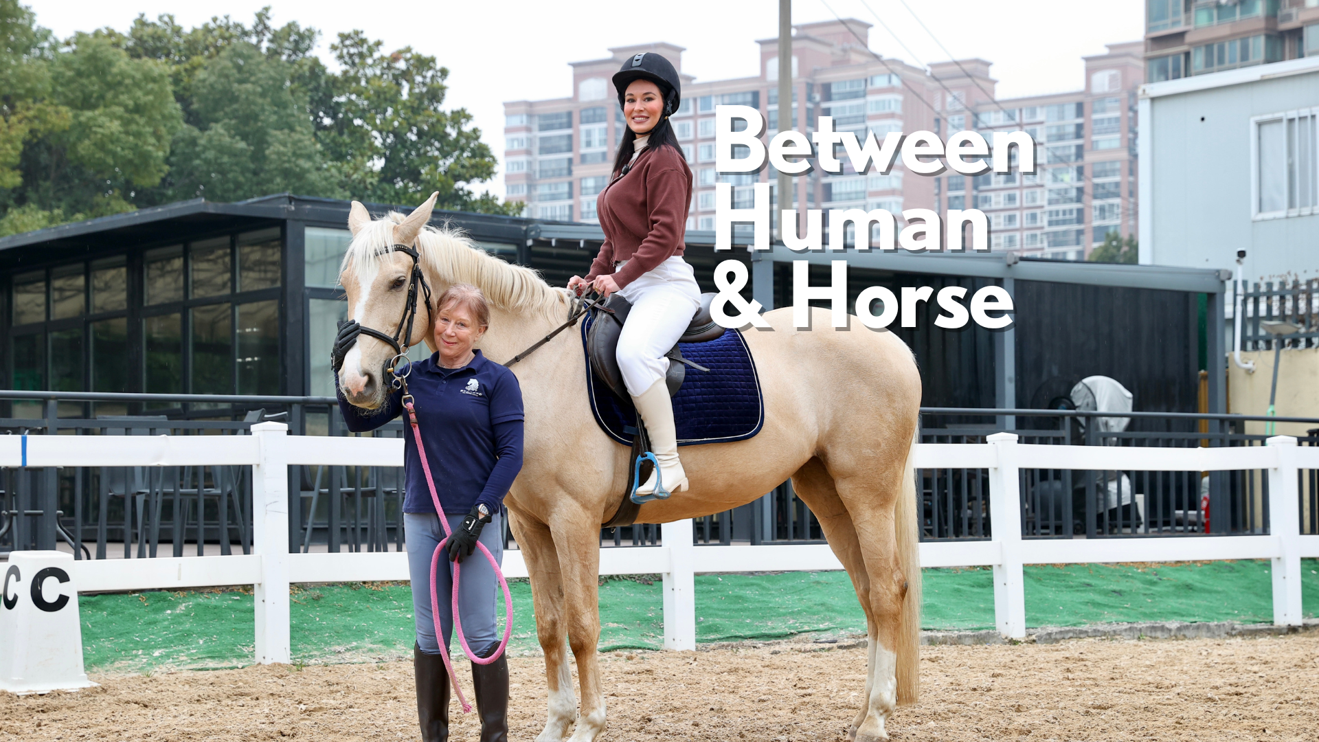 Inside the Stable: Between Human and Horse