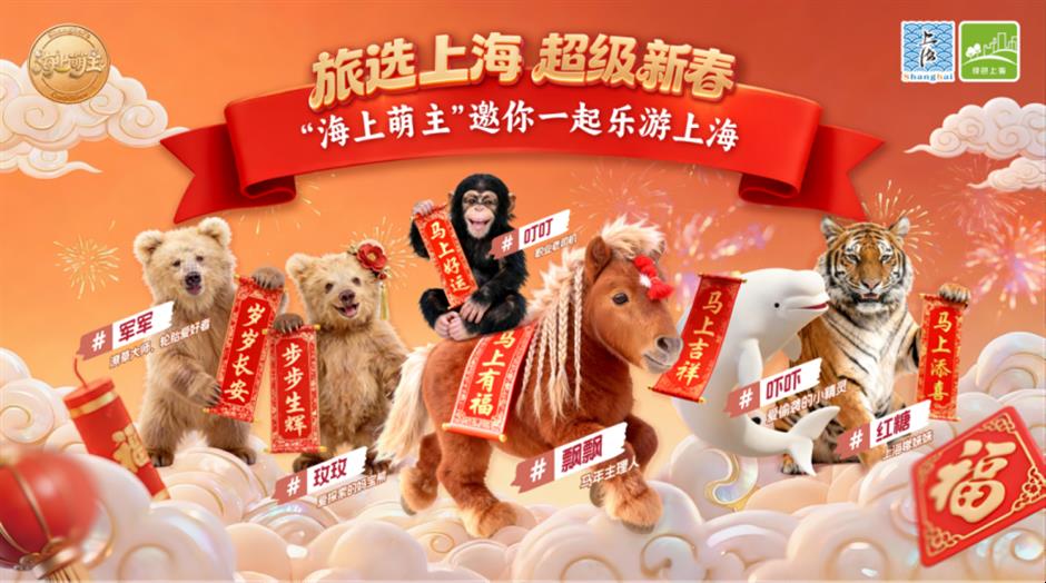 限时7折!春节专享!