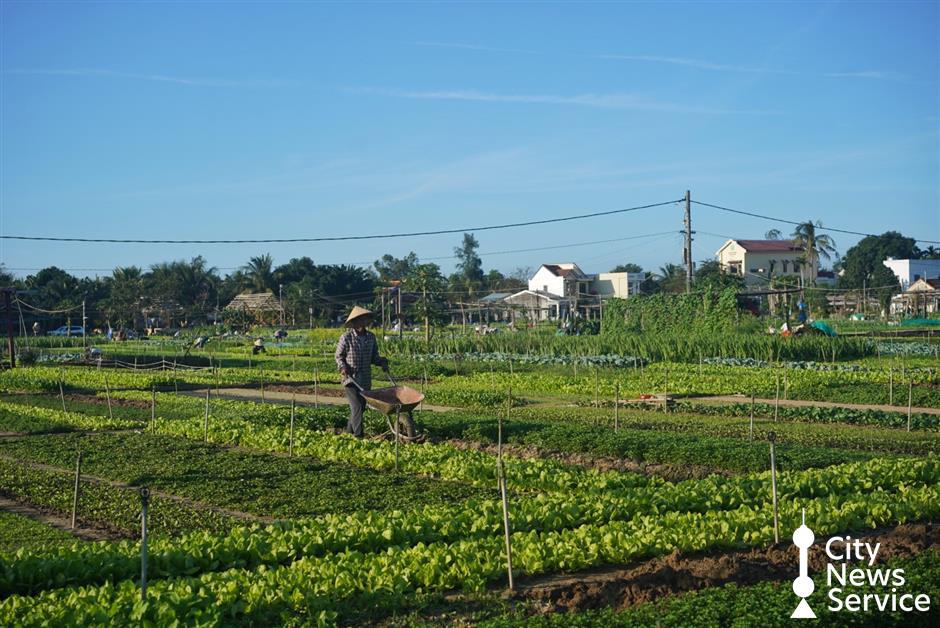 [Weekend Escape] Hoi An, Vietnam Guide: What To Do, Eat, Drink