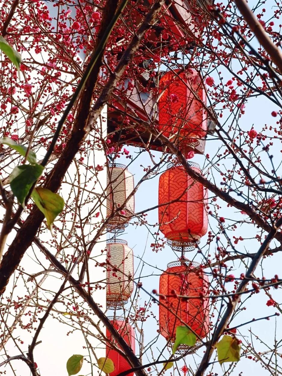 上海最浓年味,藏在这10座古镇!