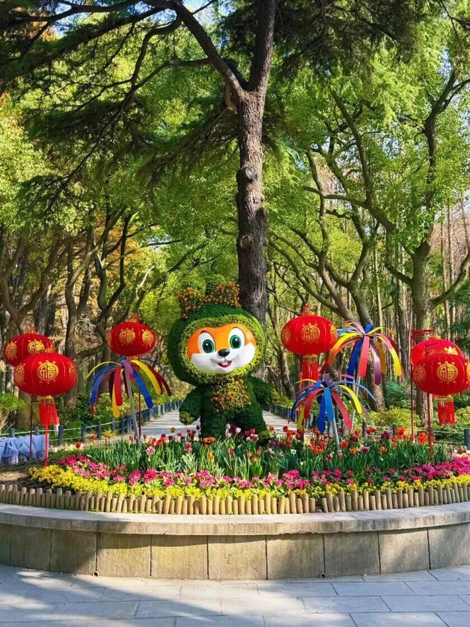 花漾新春!上海四大花展上线,共赴一场春日游园之约