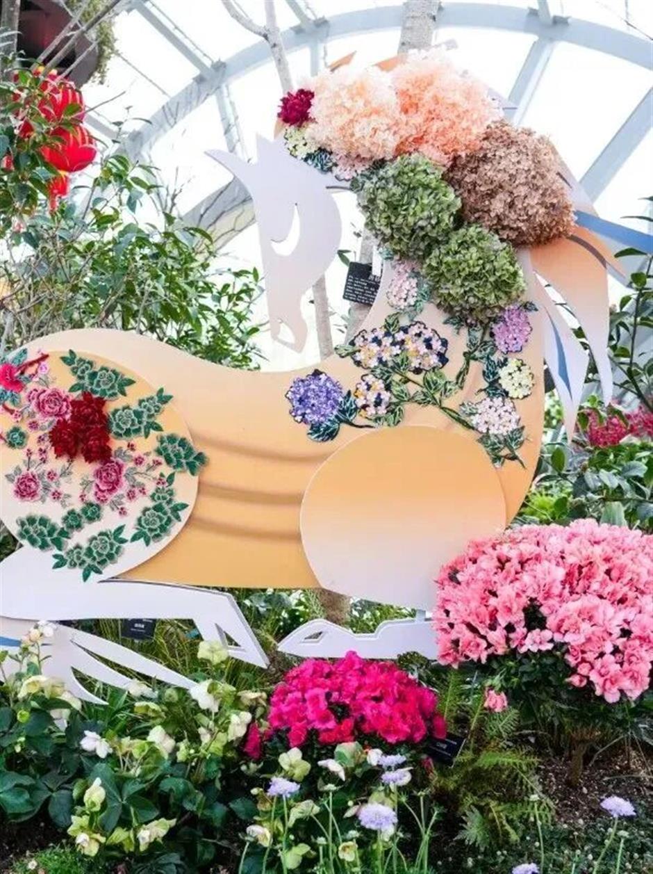 花漾新春!上海四大花展上线,共赴一场春日游园之约