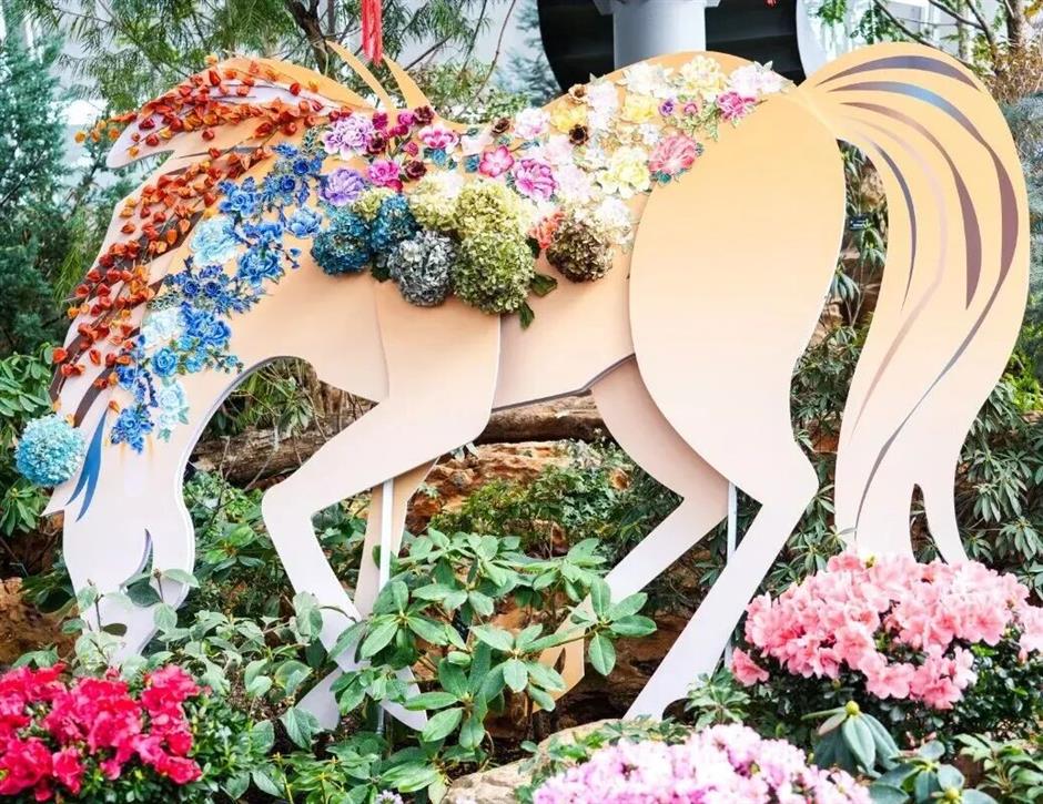 花漾新春!上海四大花展上线,共赴一场春日游园之约