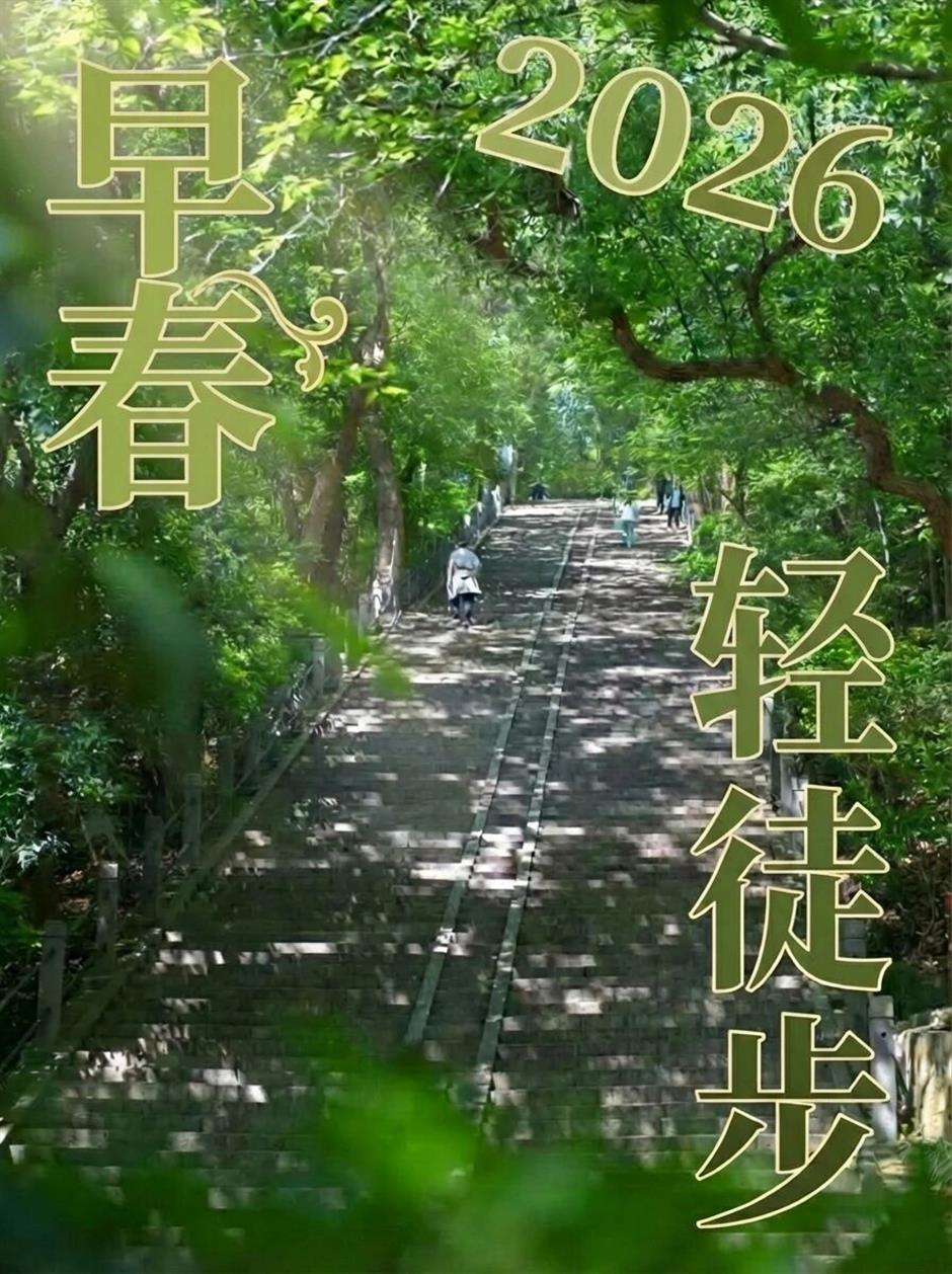 上海5条早春徒步线!好走出片还免费!