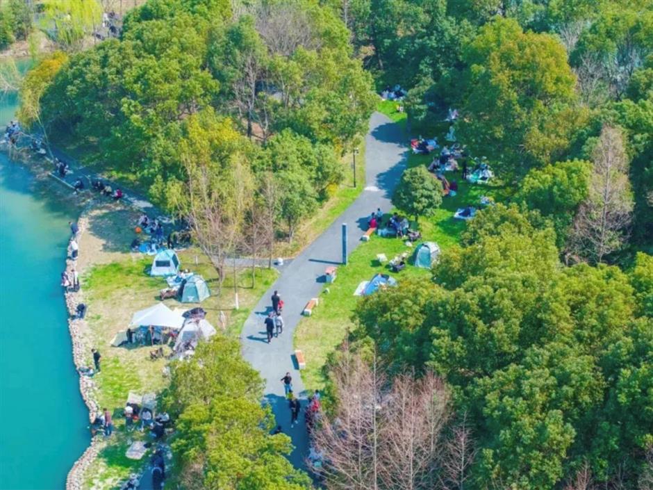 上海5条早春徒步线!好走出片还免费!