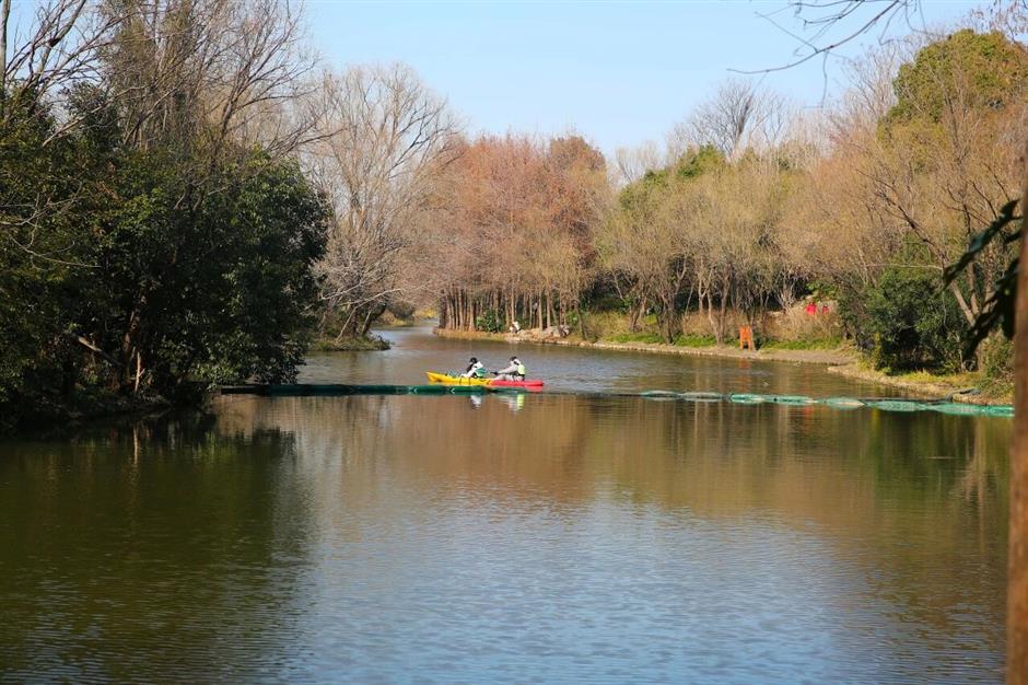 上海5条早春徒步线!好走出片还免费!