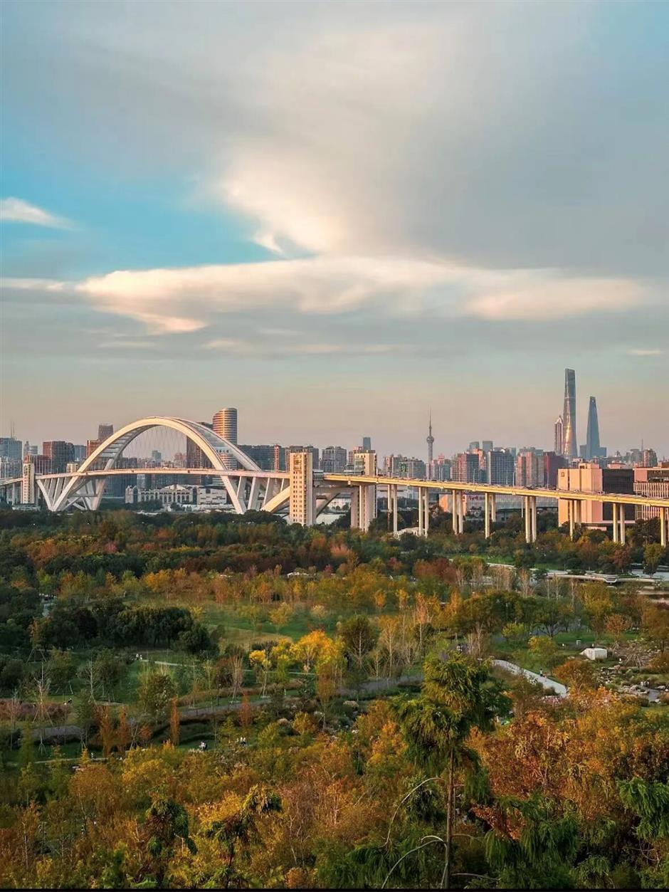 上海5条早春徒步线!好走出片还免费!