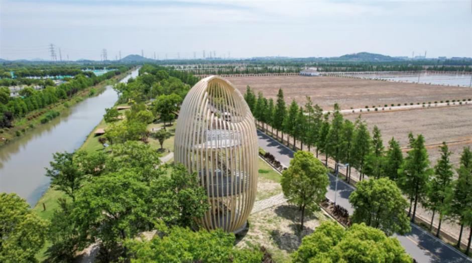 上海5条早春徒步线!好走出片还免费!