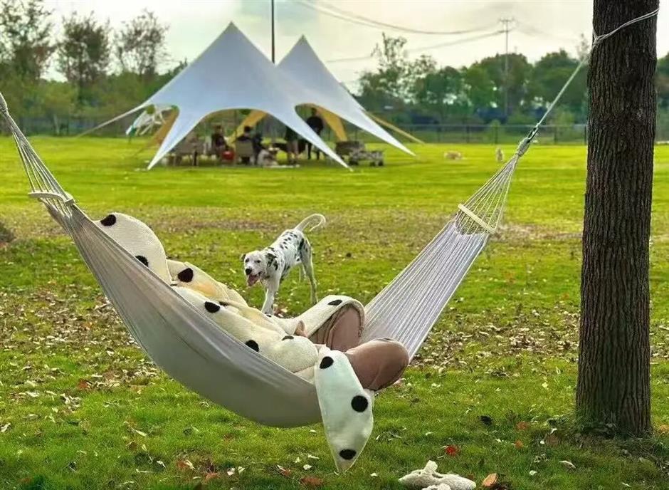 上海5条早春徒步线!好走出片还免费!