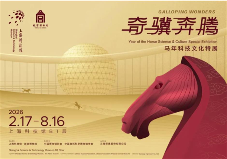 梅香夜游、女神特惠票、音乐剧《雨中曲》......一周文旅生活