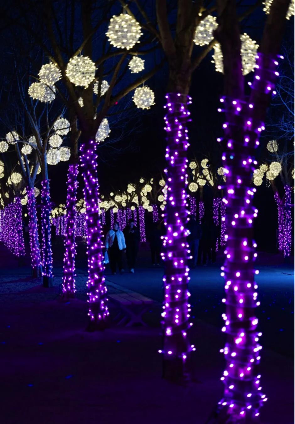 梅香夜游、女神特惠票、音乐剧《雨中曲》......一周文旅生活