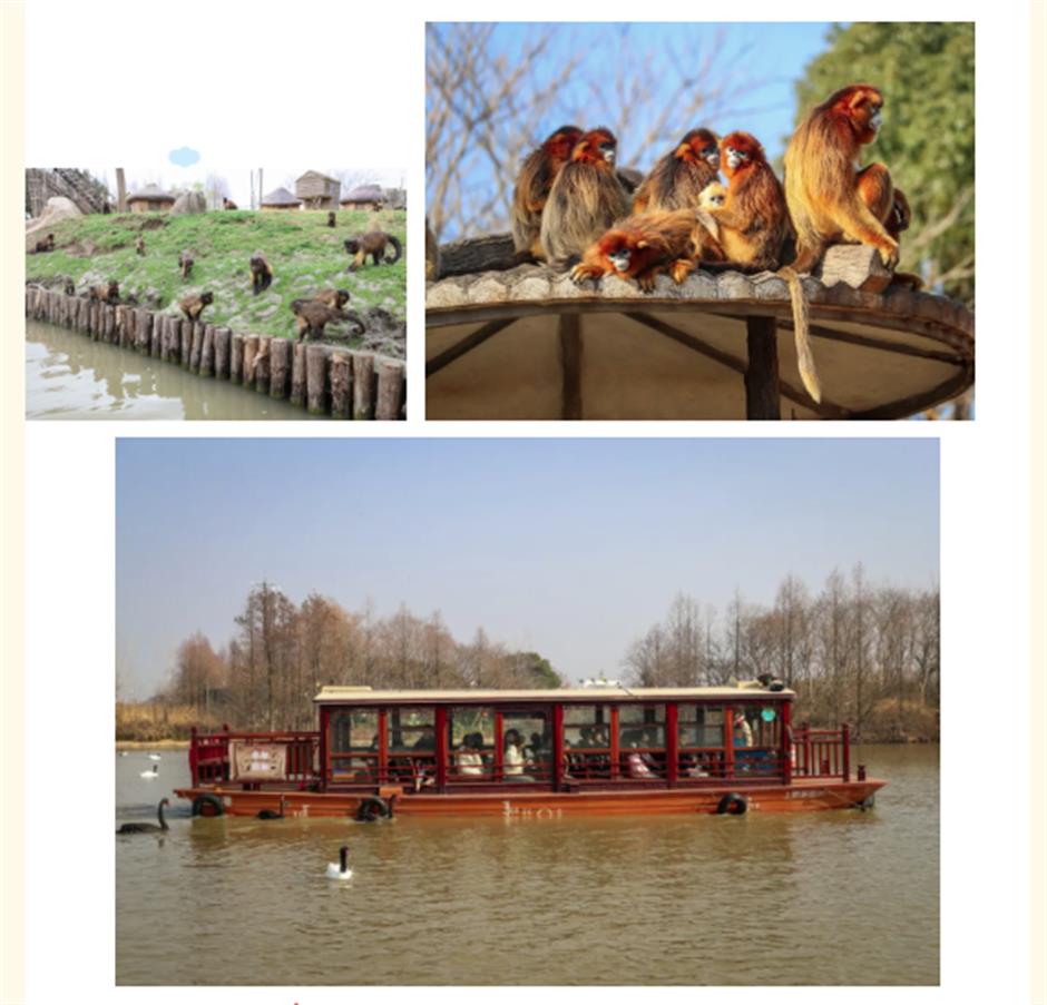 上野年卡限时钜惠,最后5天!还有专享权益