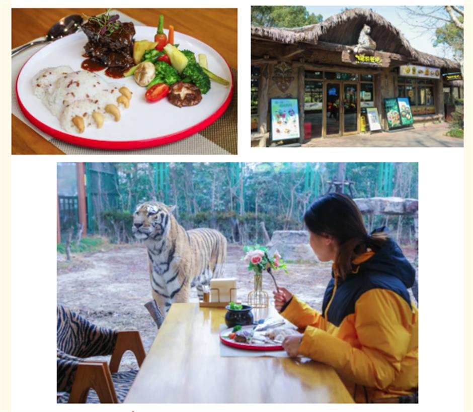 上野年卡限时钜惠,最后5天!还有专享权益