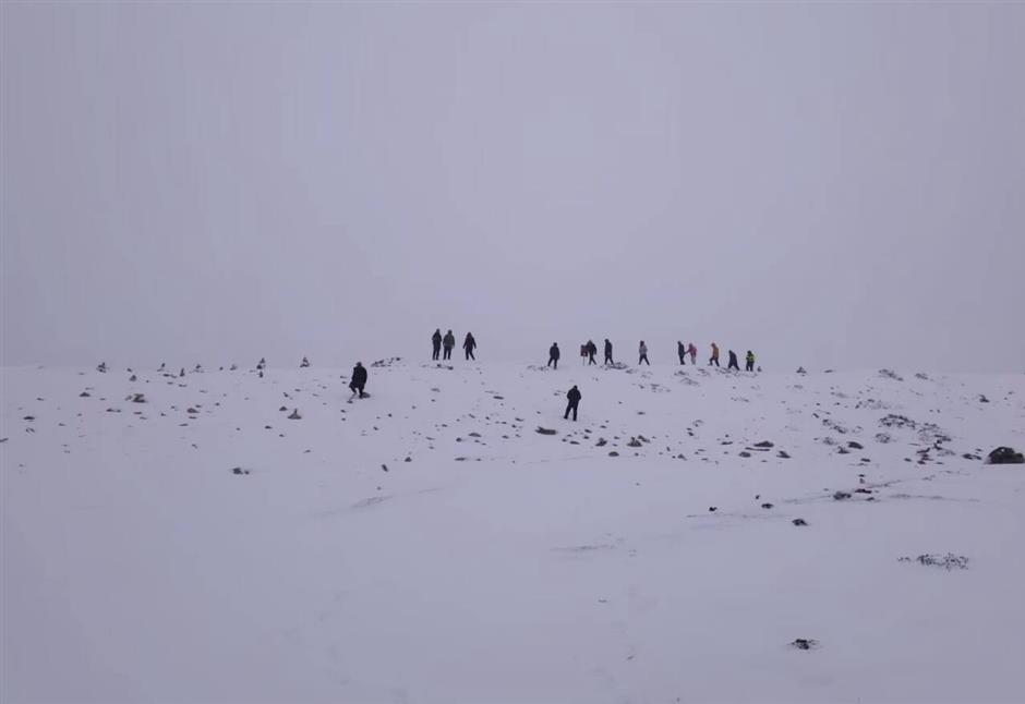 Xizang Hiker Survives Night Using Yak Dung for Warmth
