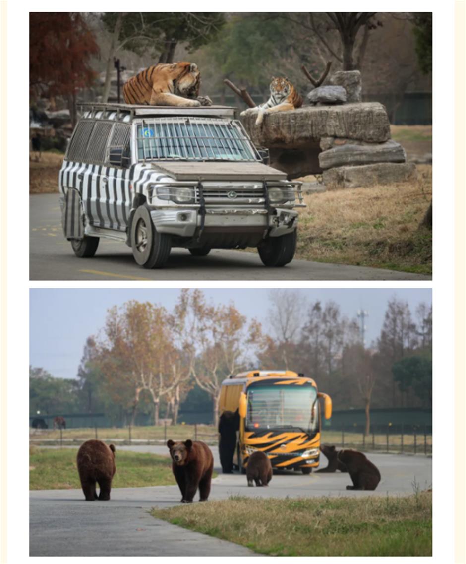 上野年卡限时钜惠,最后5天!还有专享权益