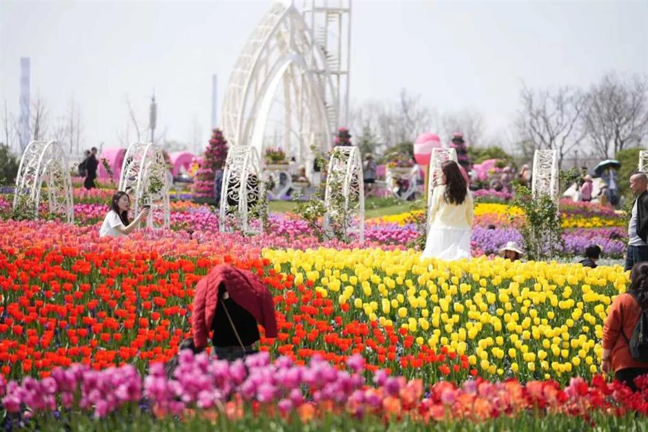 小王子IP空降上海!3月最值得期待的盛大花海即將啟幕!