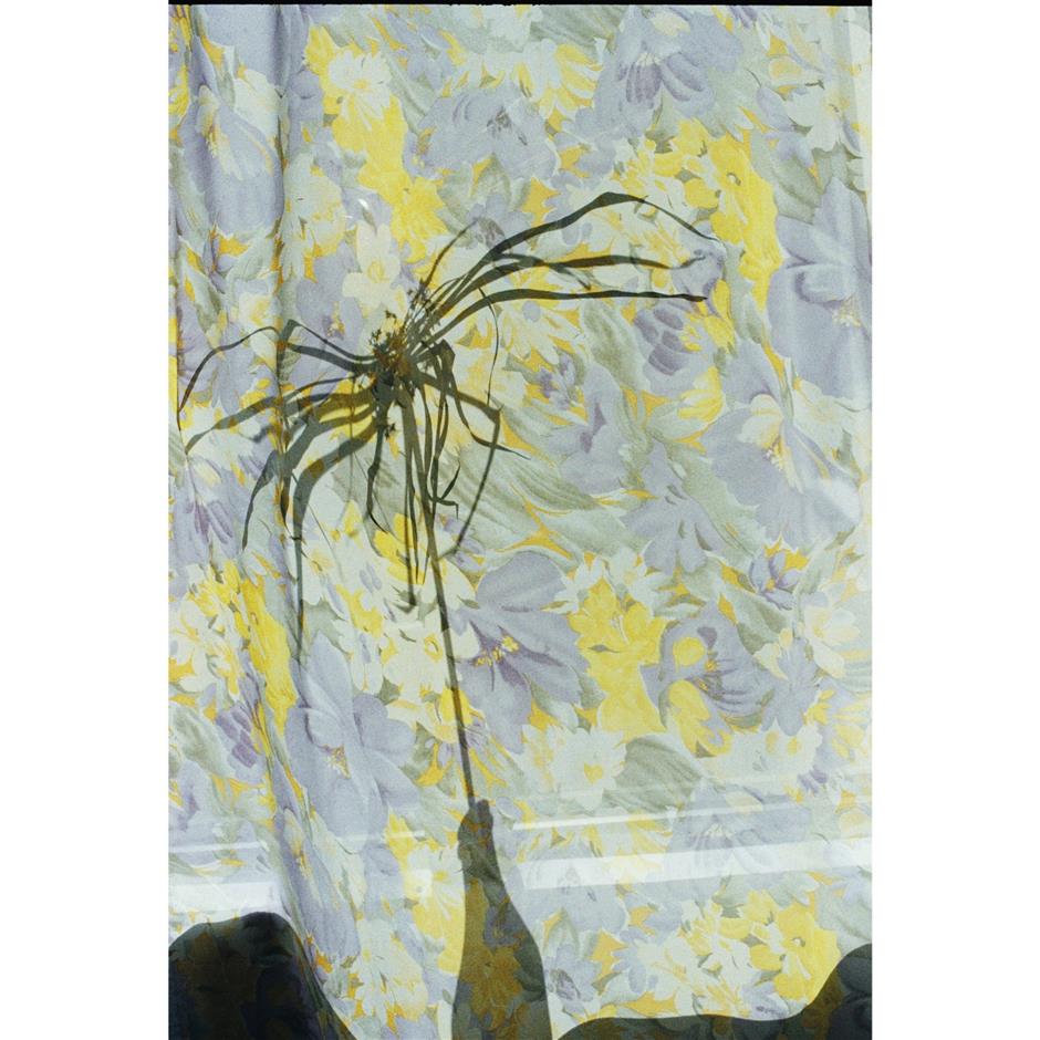 Show Sheds Light on the Hidden Geography Beneath Life's Mundane Surface