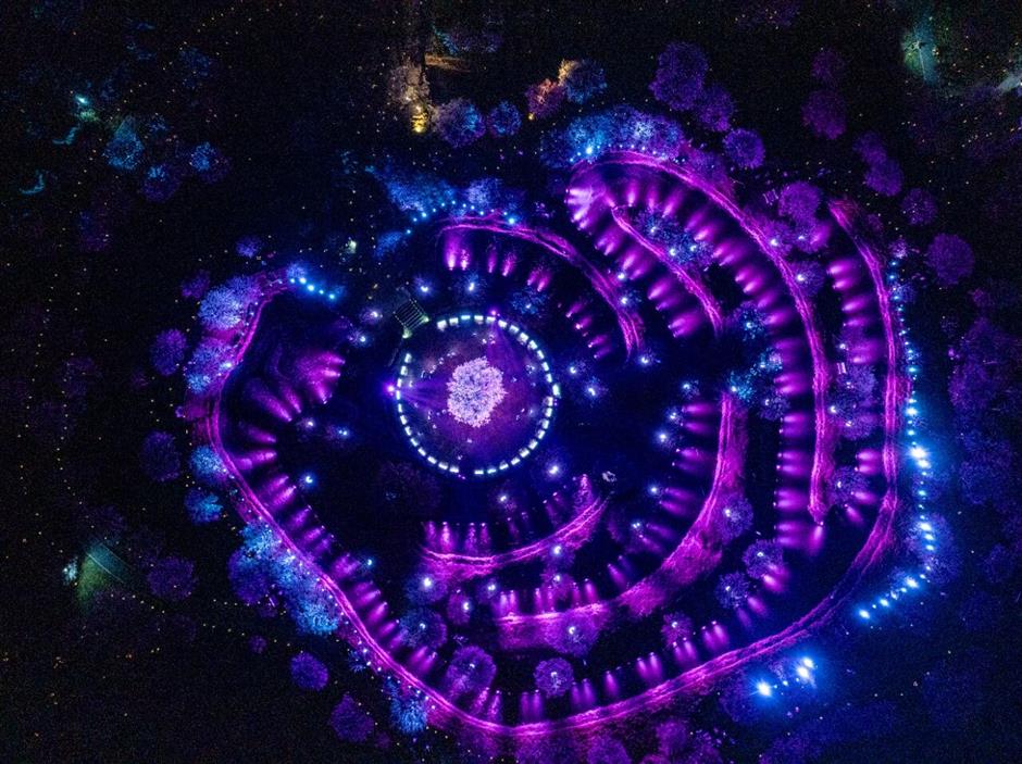 早春大片粉色梅花雨正在上演!快来打卡