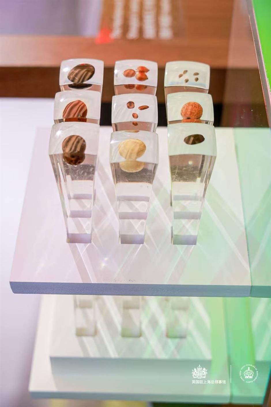 [Shanghai CG] UK's Matt Burney – 2 Decades of Change in China