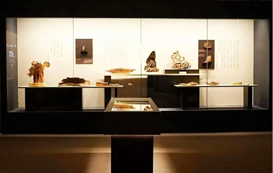 即将闭展!上海这些大展再不看就要错过了