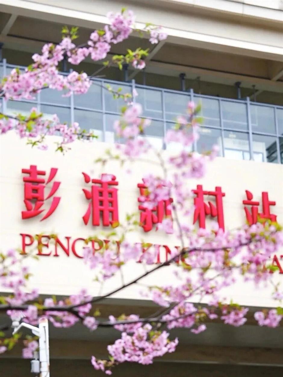 上海最美车站上线!把春天装进每一次通勤里