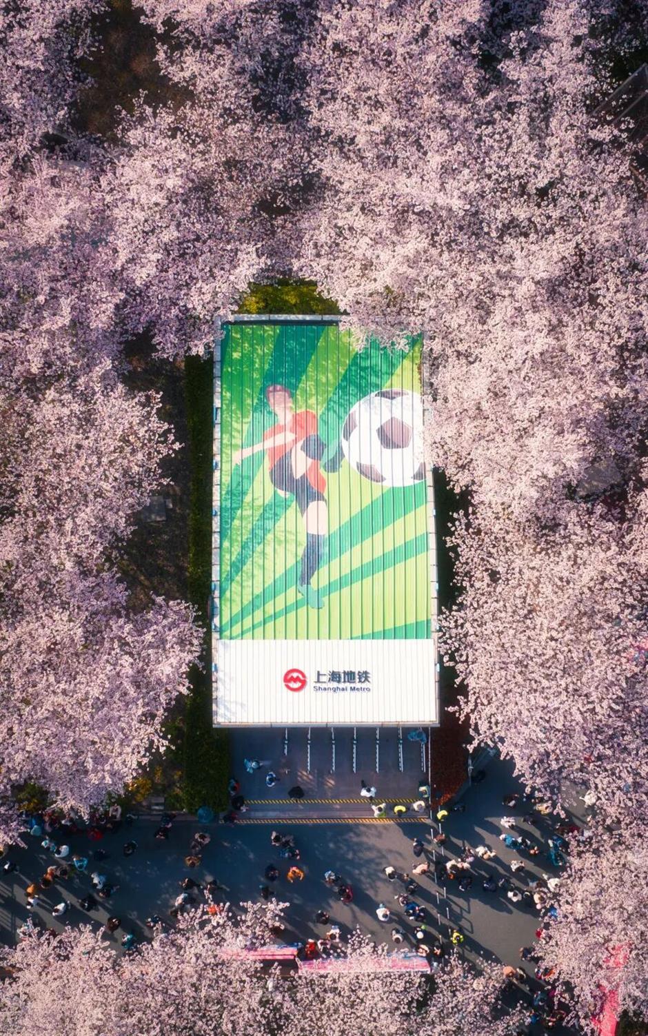 上海最美车站上线!把春天装进每一次通勤里