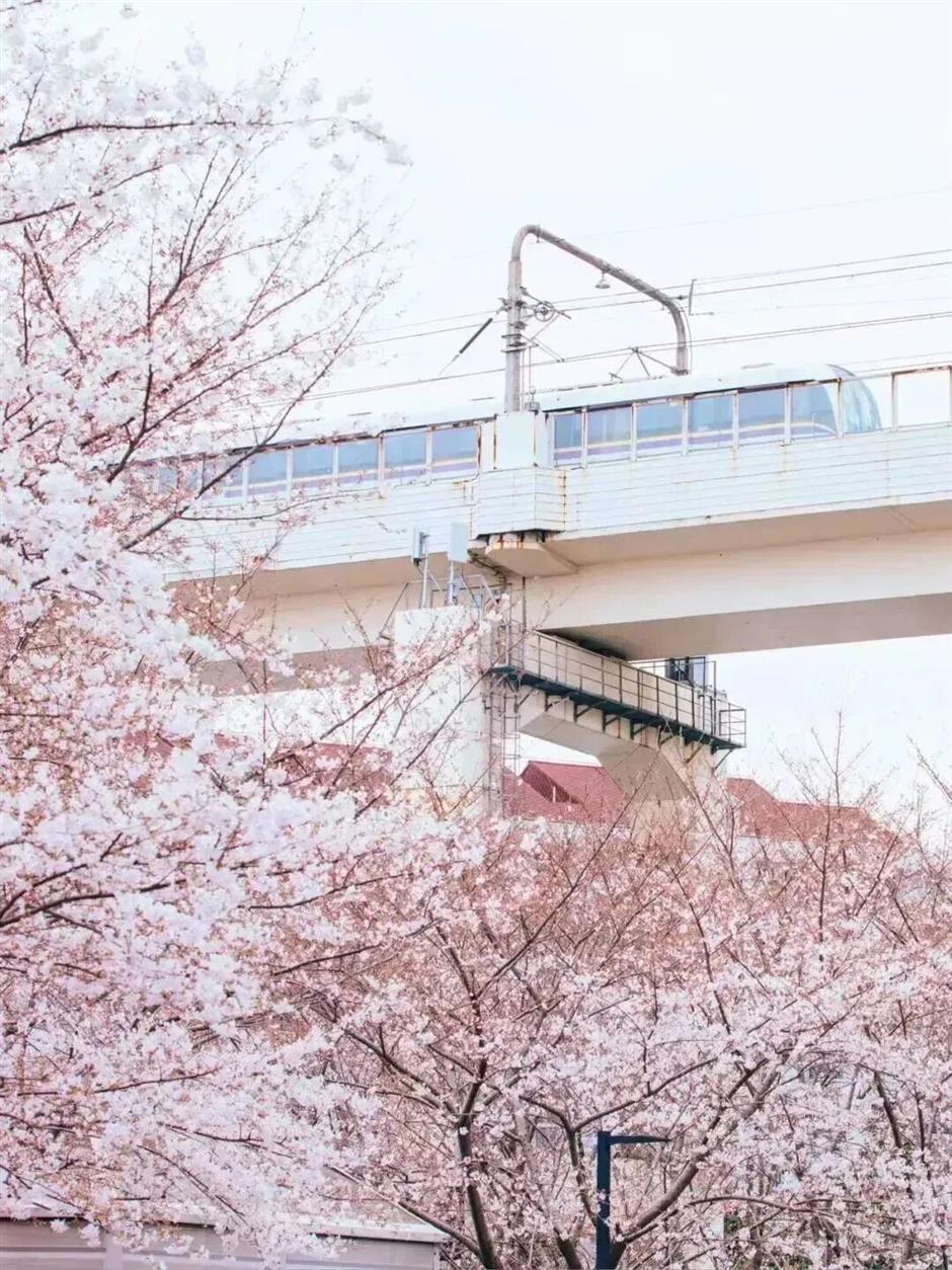 上海最美车站上线!把春天装进每一次通勤里