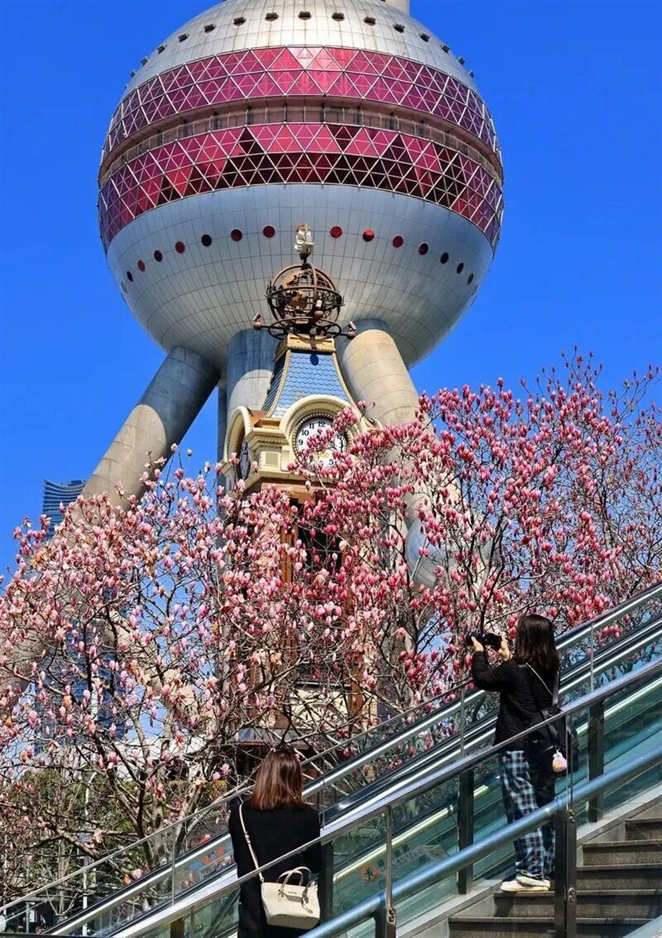 上海最美车站上线!把春天装进每一次通勤里