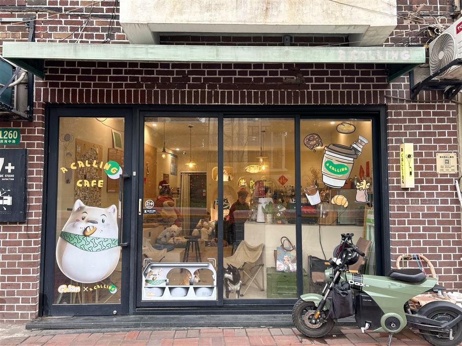 [Hai Lights] Shanghai Cafés That Welcome Wagging Tails