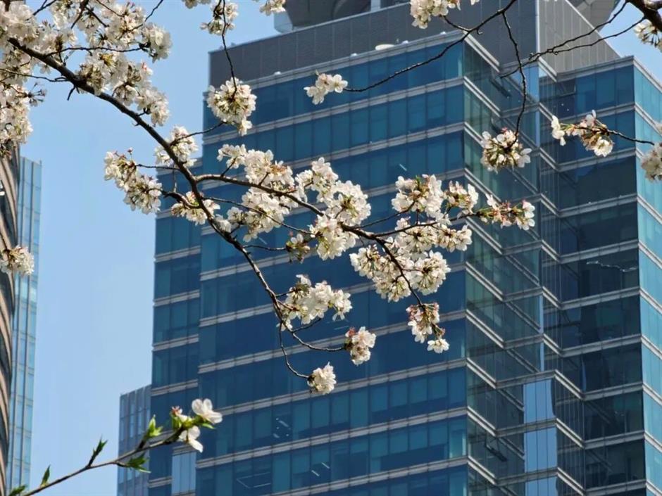 上海最美车站上线!把春天装进每一次通勤里