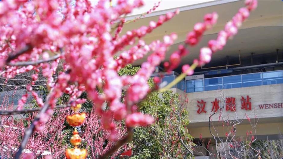 上海最美车站上线!把春天装进每一次通勤里