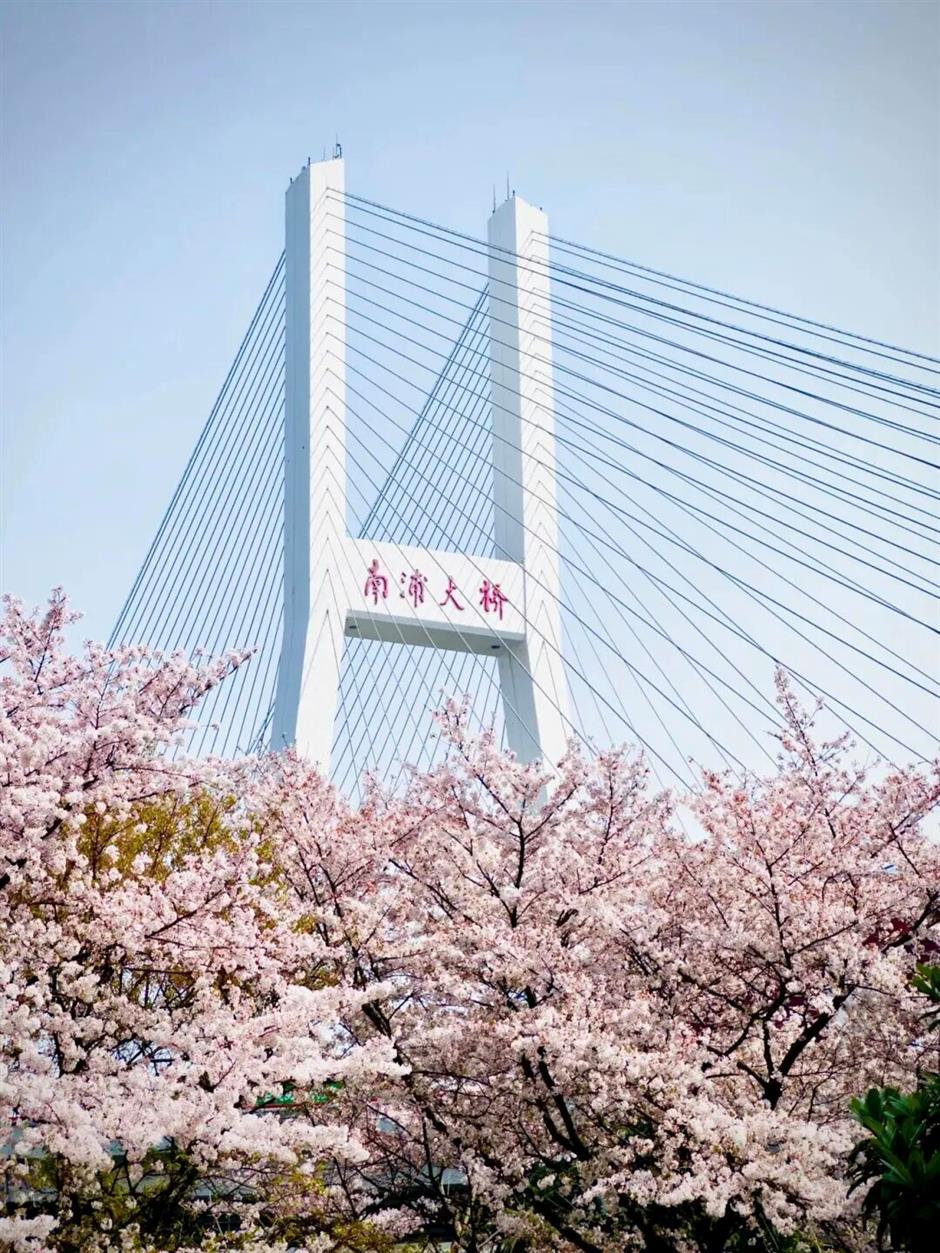 上海最美车站上线!把春天装进每一次通勤里