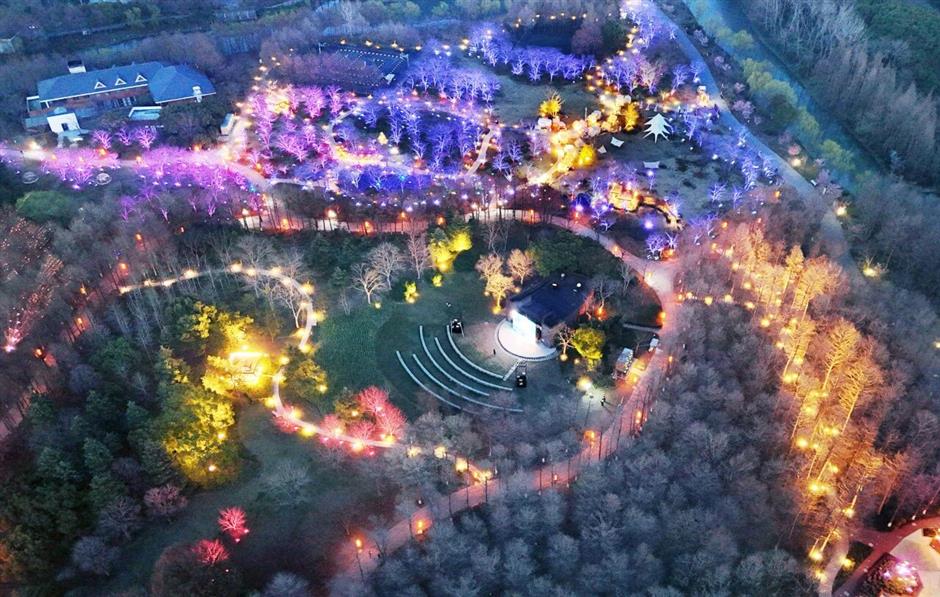 2026上海樱花节来了!