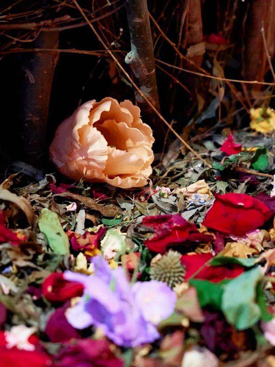 魔都春日限定,3月美展上新了→