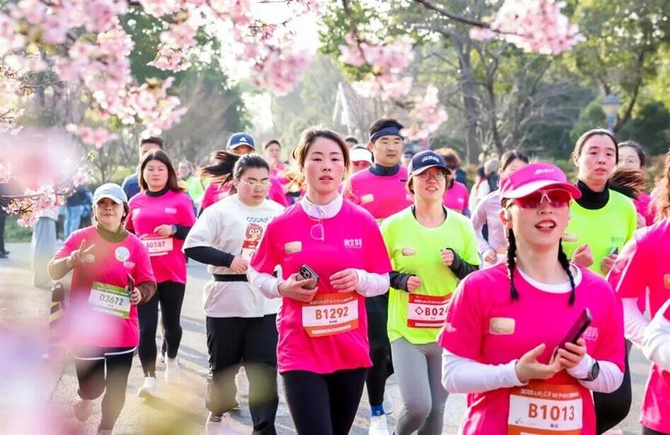 2026上海樱花节来了!